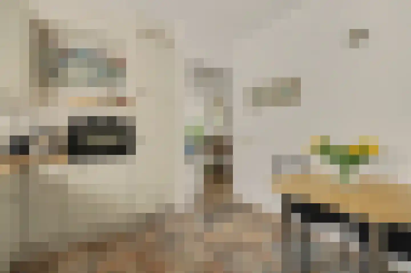 Esmoreitstraat 24 Oosterhout thumbnail 25