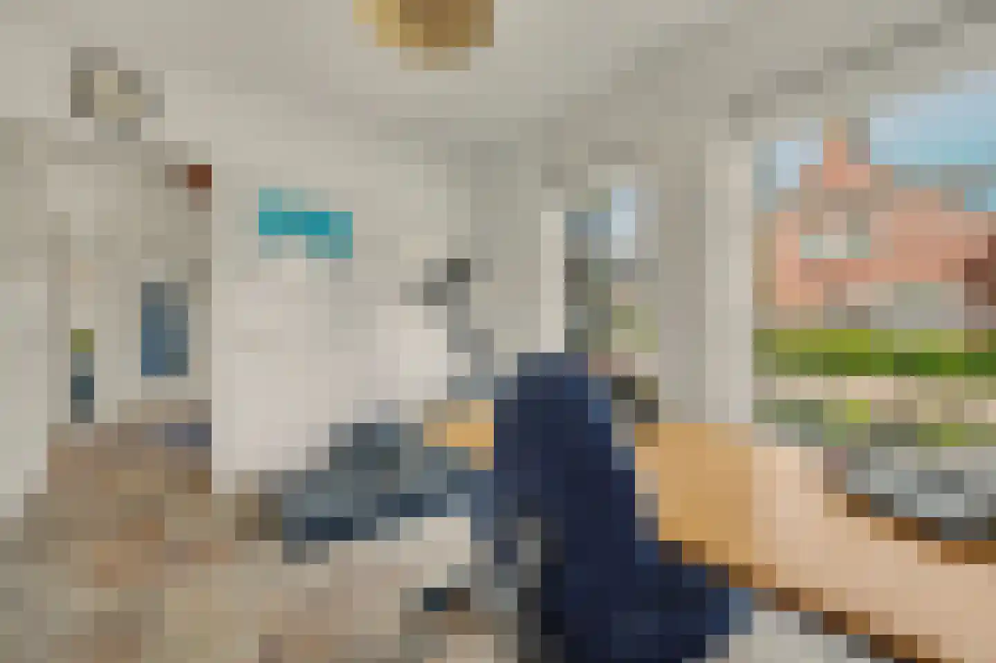 Esmoreitstraat 24 Oosterhout thumbnail 28