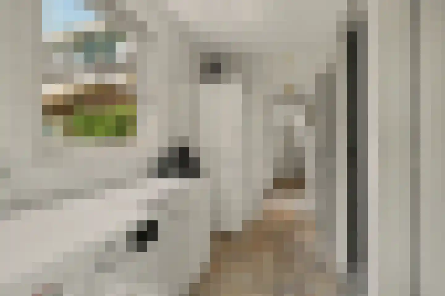 Esmoreitstraat 24 Oosterhout thumbnail 32