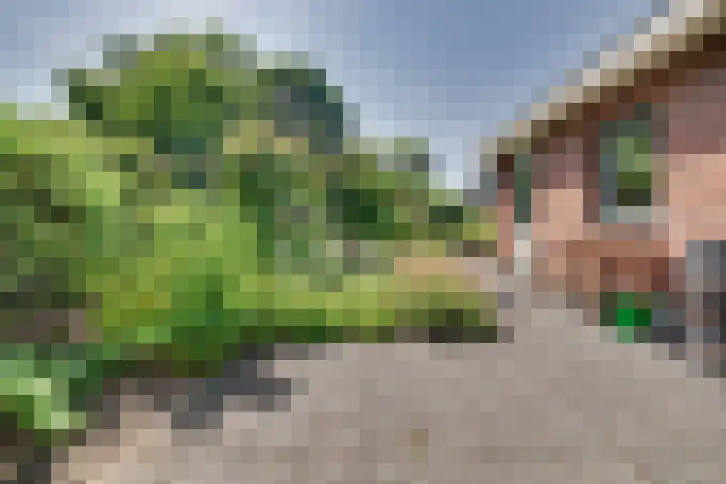 Esmoreitstraat 24 Oosterhout thumbnail 42