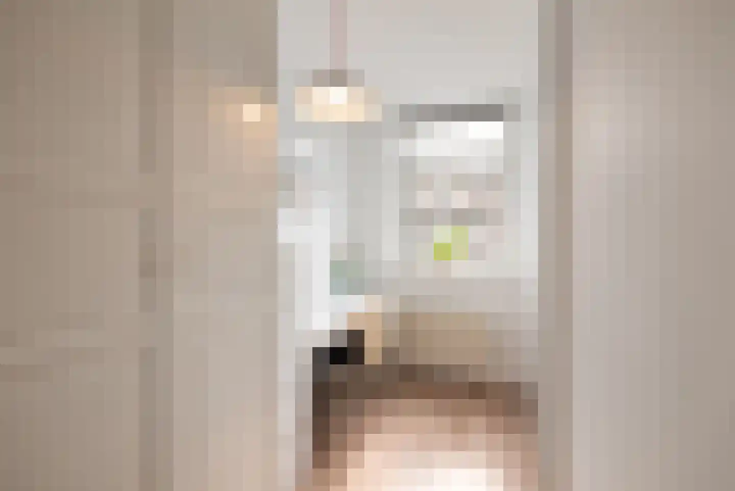 Esmoreitstraat 37 3 Amsterdam thumbnail 20