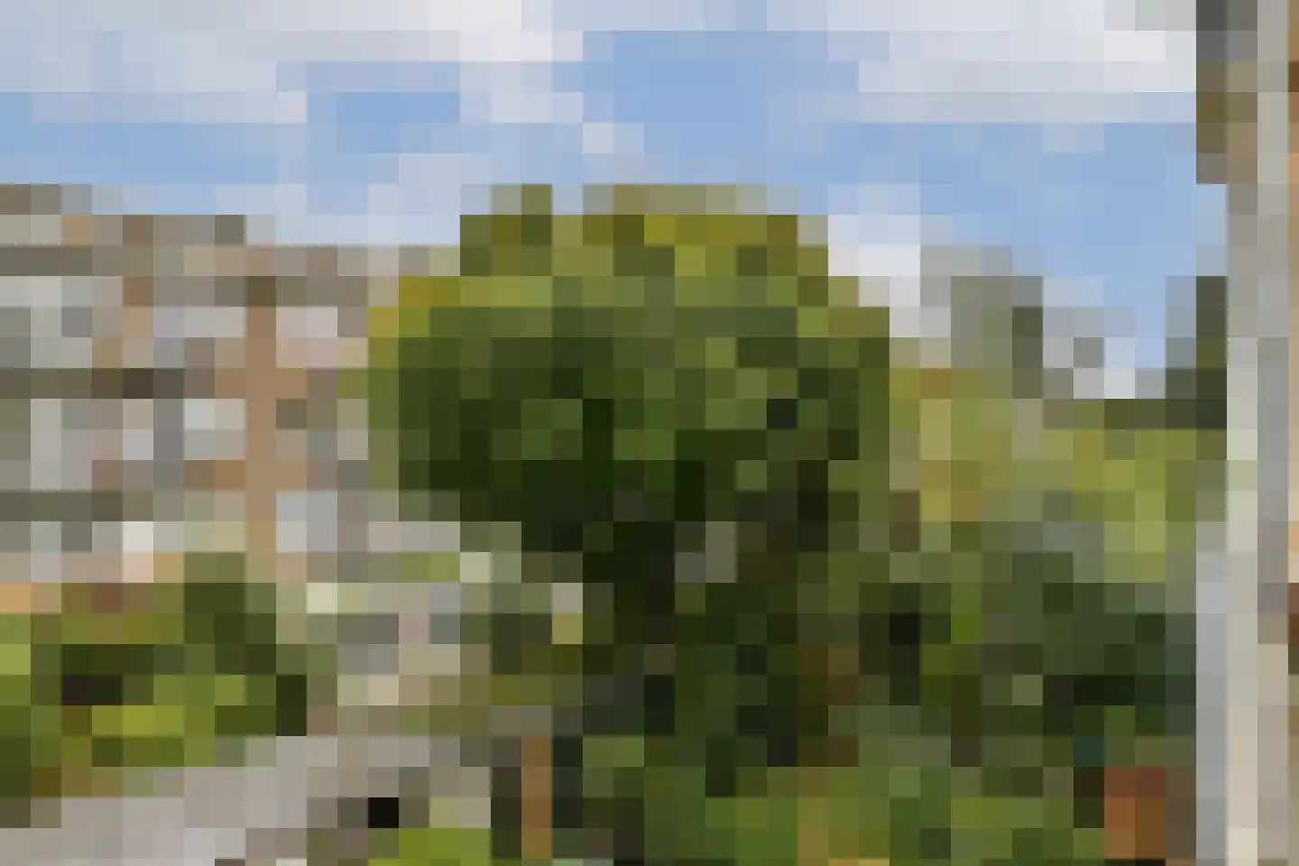 Esmoreitstraat 40 1 Amsterdam thumbnail 13