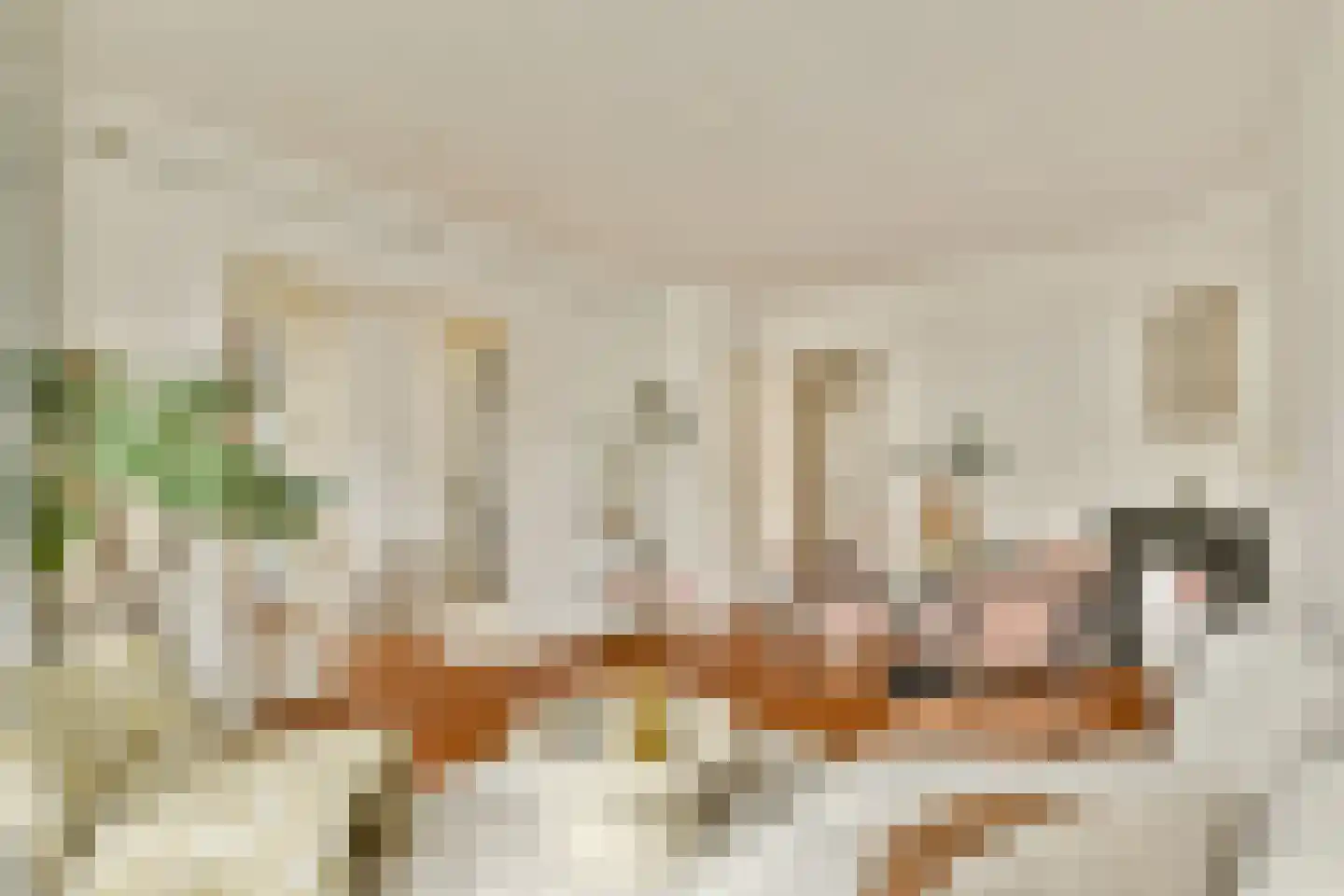 Esmoreitstraat 40 1 Amsterdam thumbnail 5