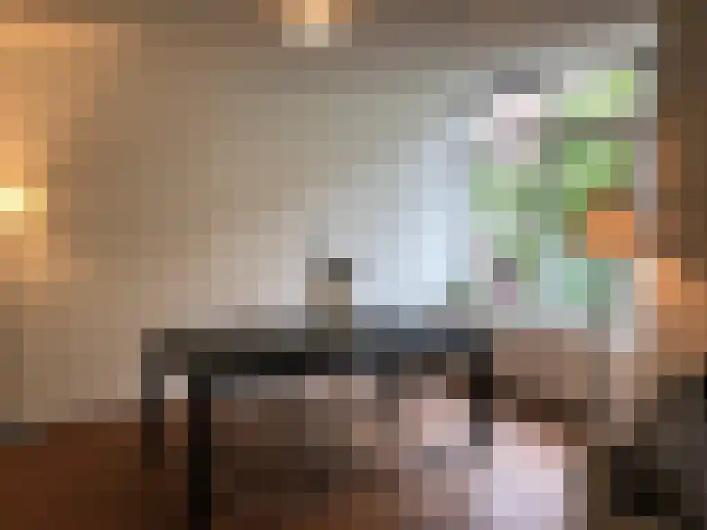 Esmoreitstraat 48 Amsterdam thumbnail 5