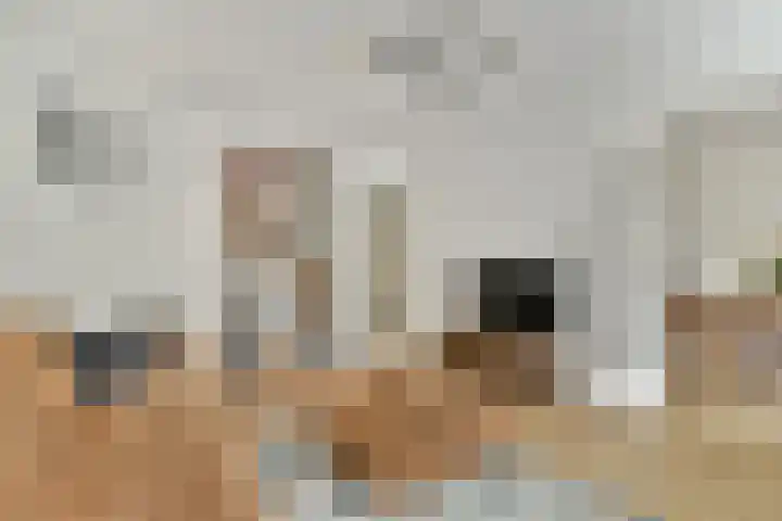 Esmoreitstraat 5 1 Amsterdam thumbnail 8