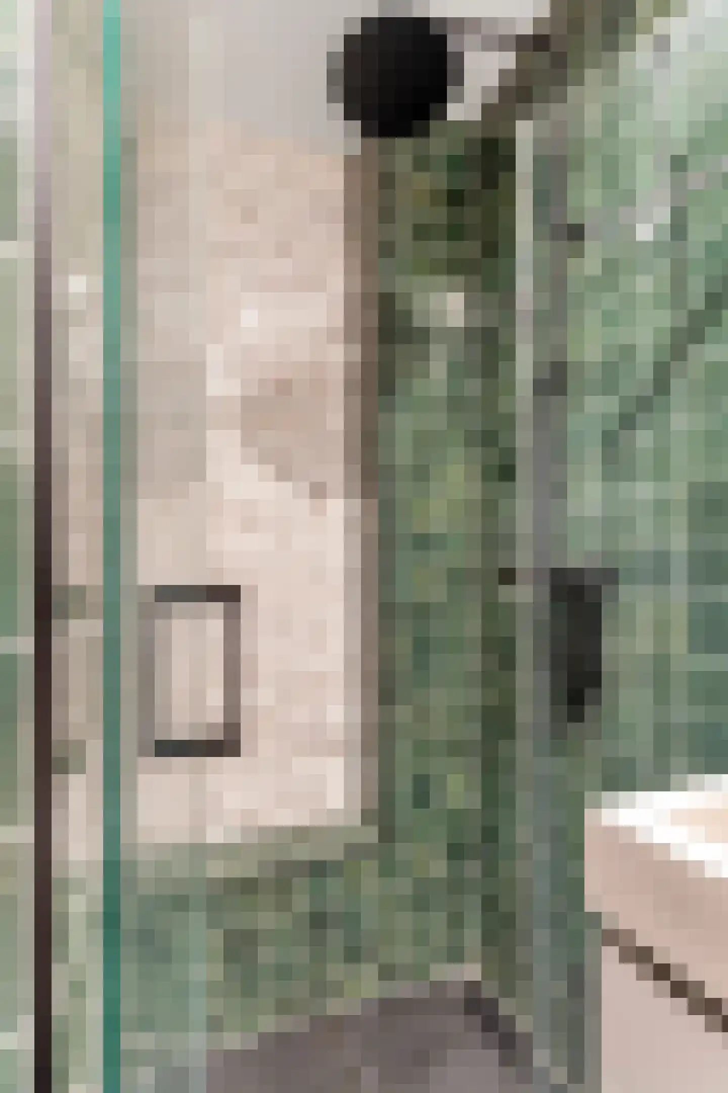 Esmoreitstraat 52 2 Amsterdam thumbnail 17
