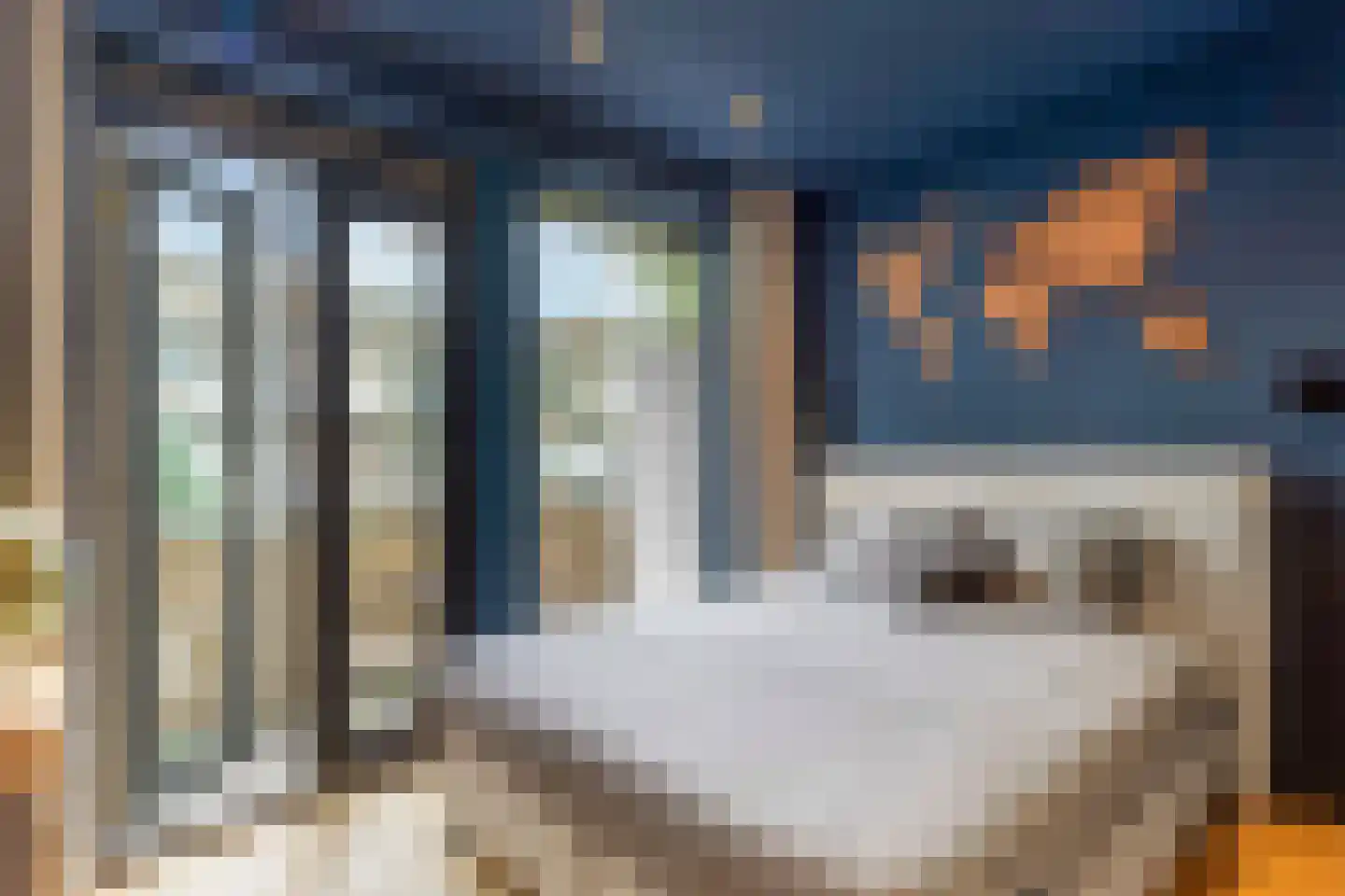 Esmoreitstraat 52 2 Amsterdam thumbnail 19