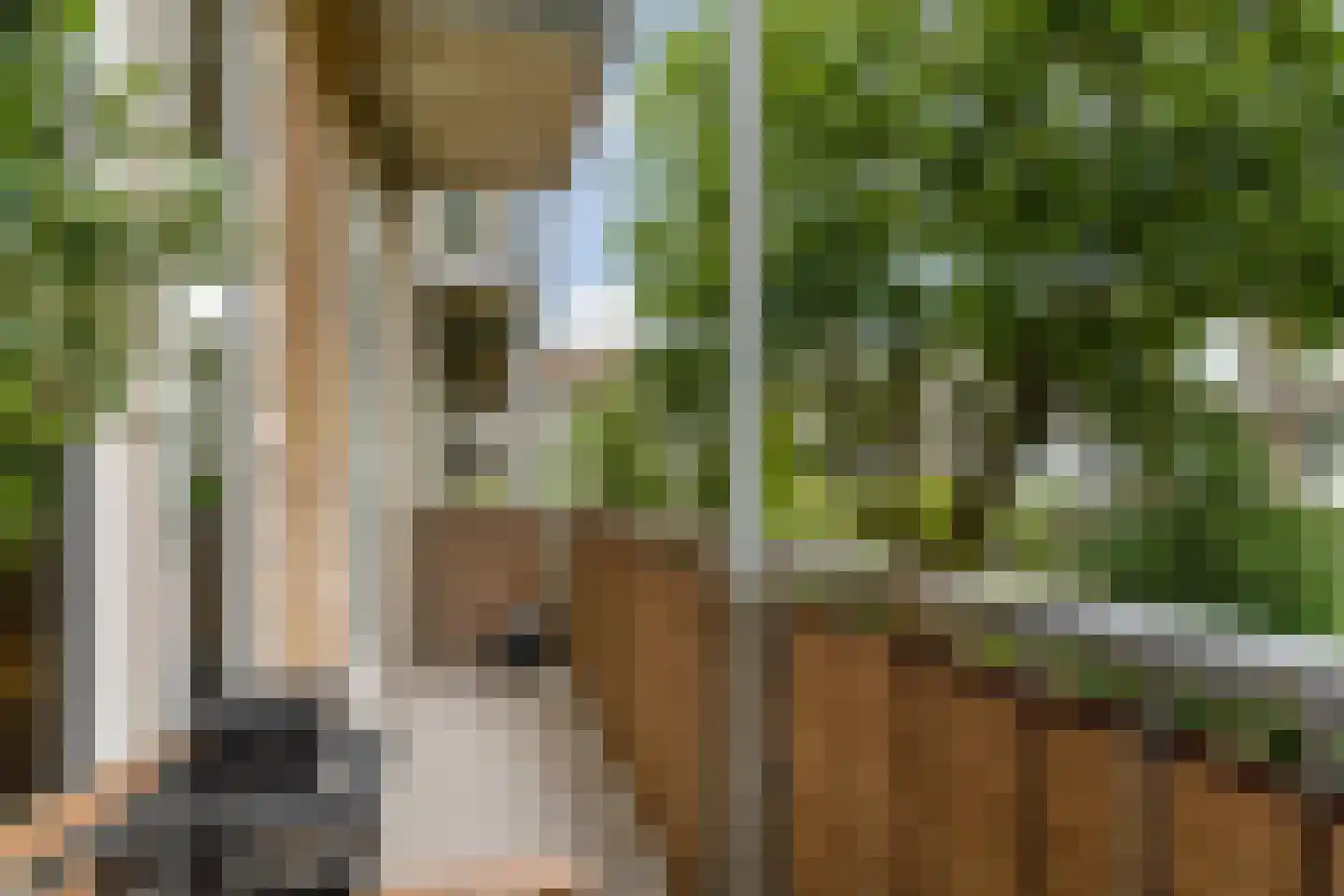Esmoreitstraat 52 2 Amsterdam thumbnail 23