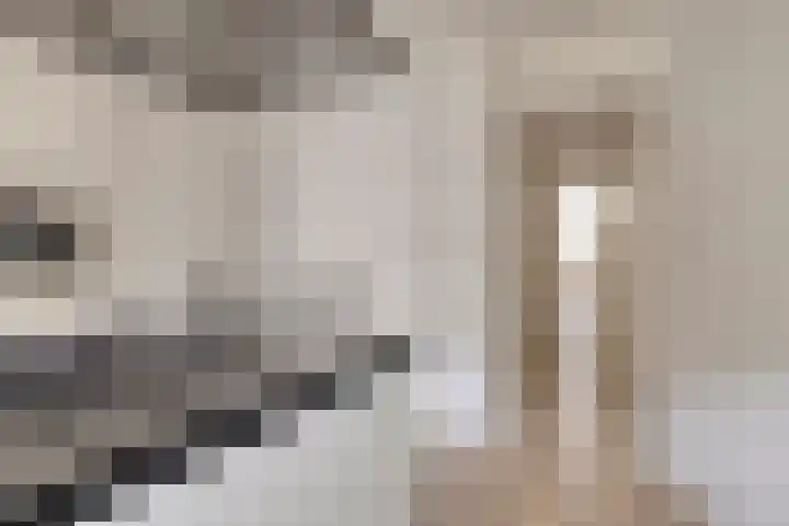 Esmoreitstraat 9 H Amsterdam thumbnail 24