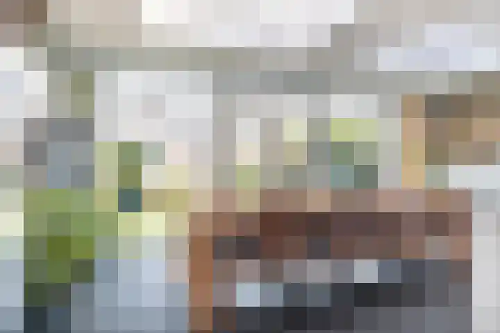 Espakker 124 Teteringen thumbnail 16