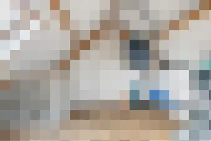 Espakker 124 Teteringen thumbnail 27