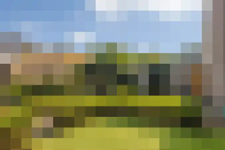Espakker 124 Teteringen thumbnail 32