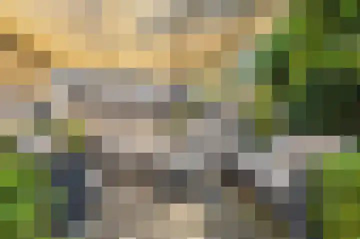 Espakker 124 Teteringen thumbnail 33