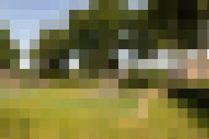 Espakker 124 Teteringen thumbnail 34
