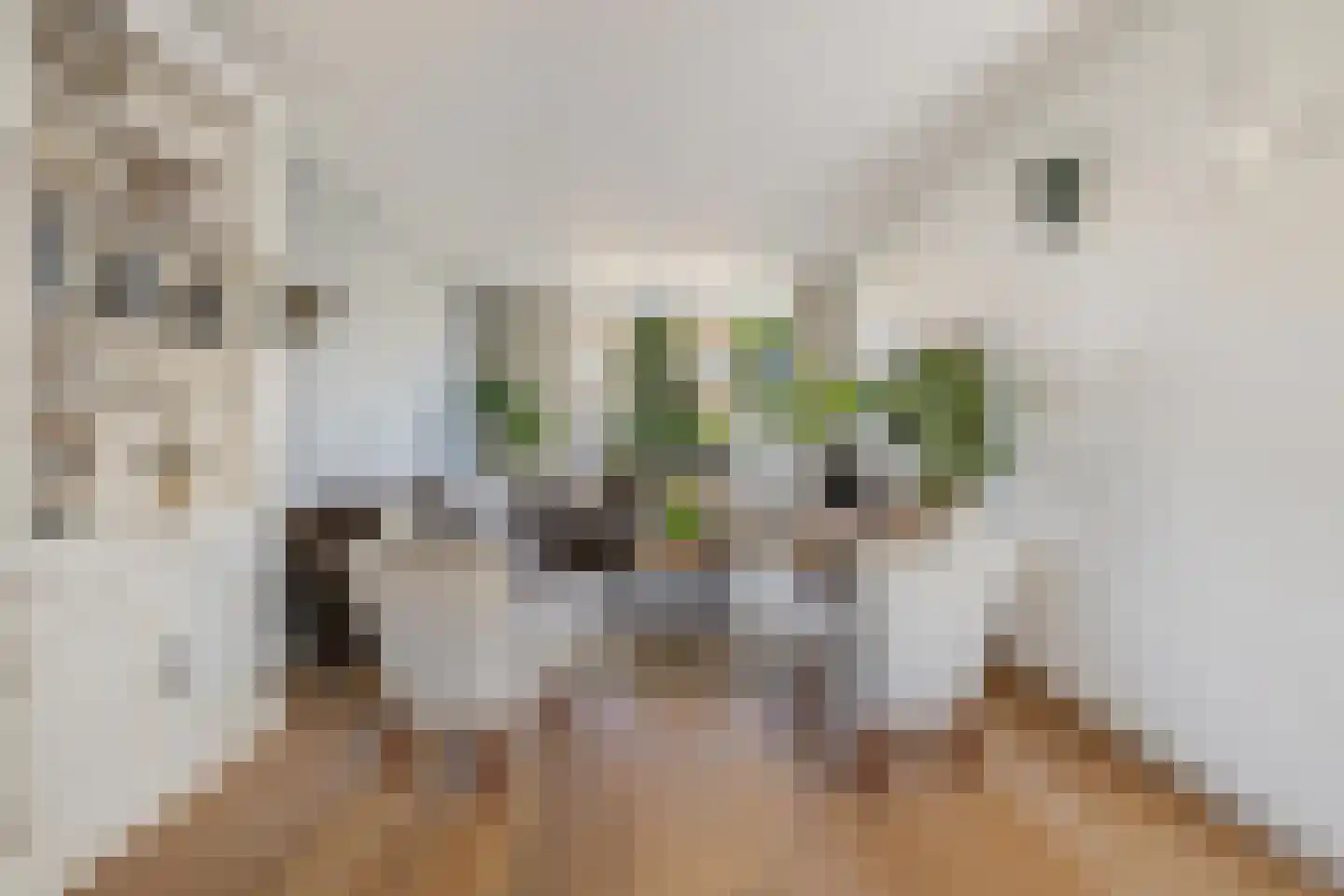 Espakker 66 Teteringen thumbnail 10