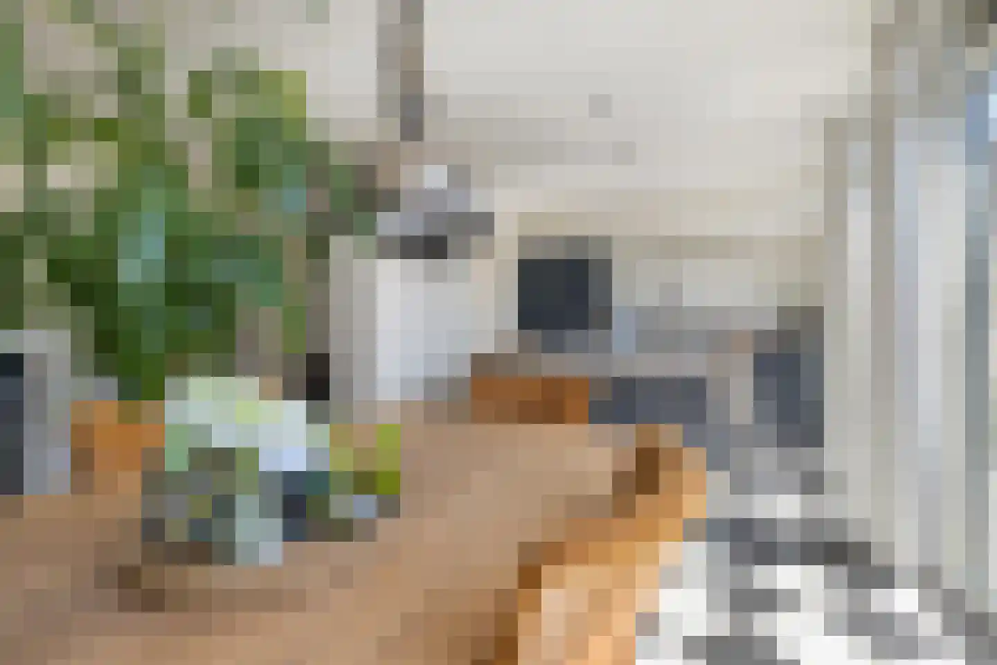 Espakker 66 Teteringen thumbnail 23