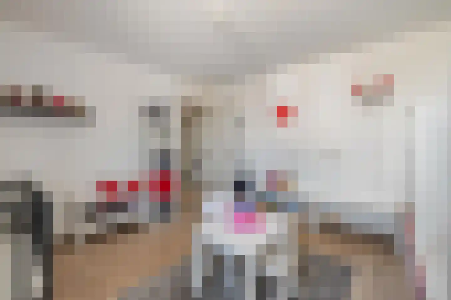 Espakker 66 Teteringen thumbnail 32