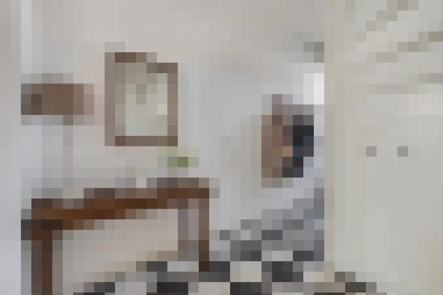 Espakker 66 Teteringen thumbnail 6