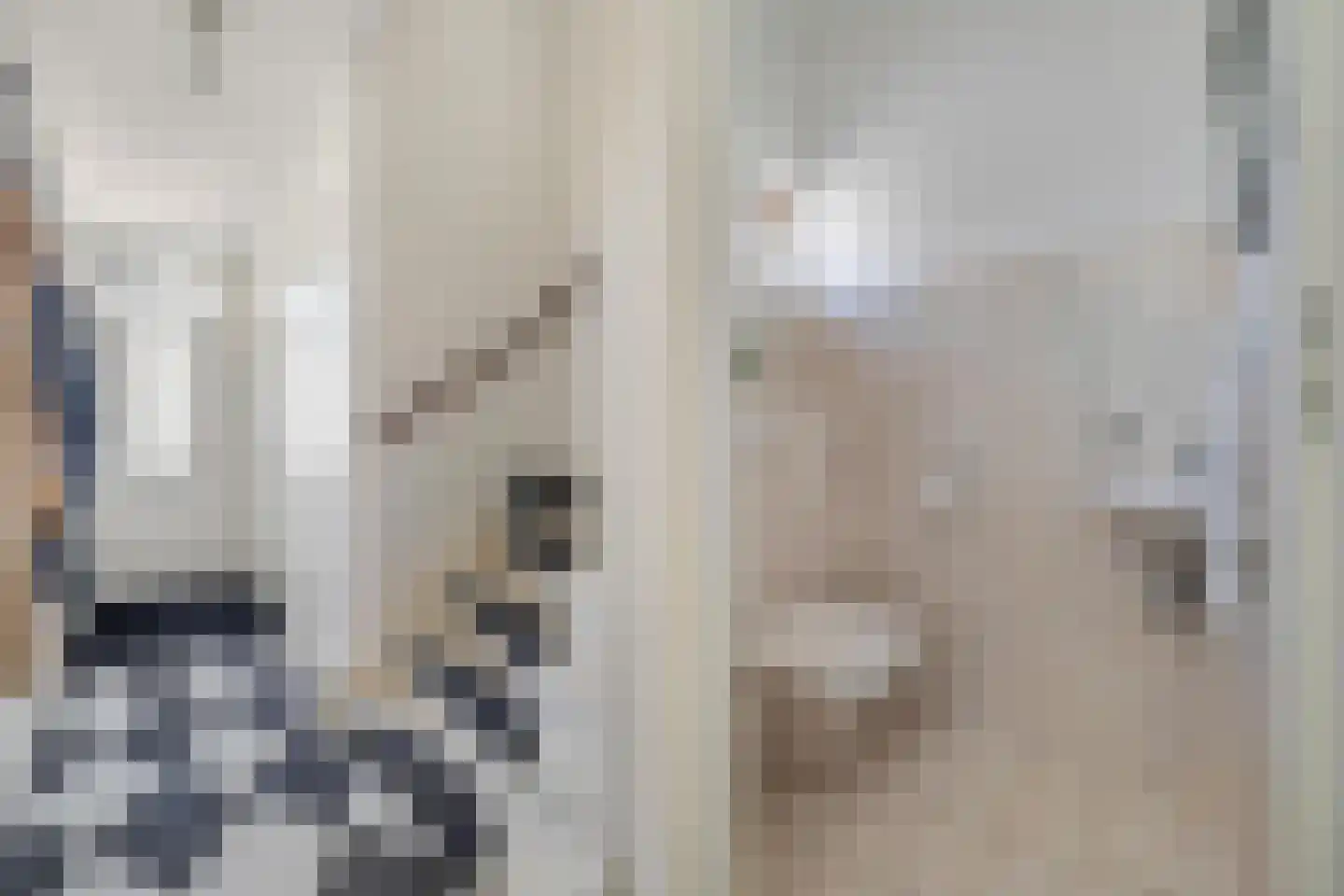 Espakker 66 Teteringen thumbnail 7