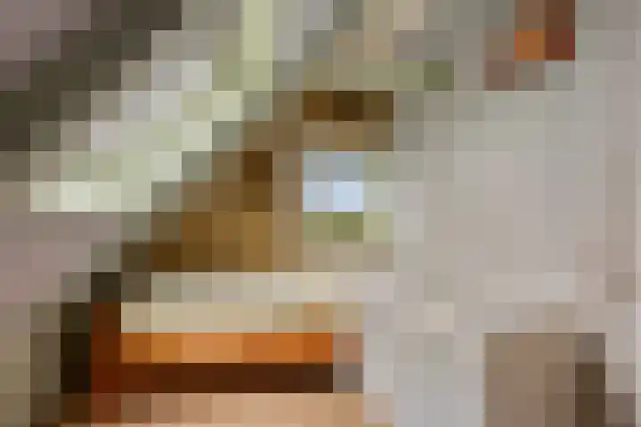 Espelaar 3 Veghel thumbnail 13
