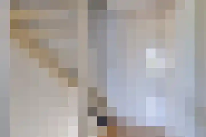 Espelaar 3 Veghel thumbnail 15