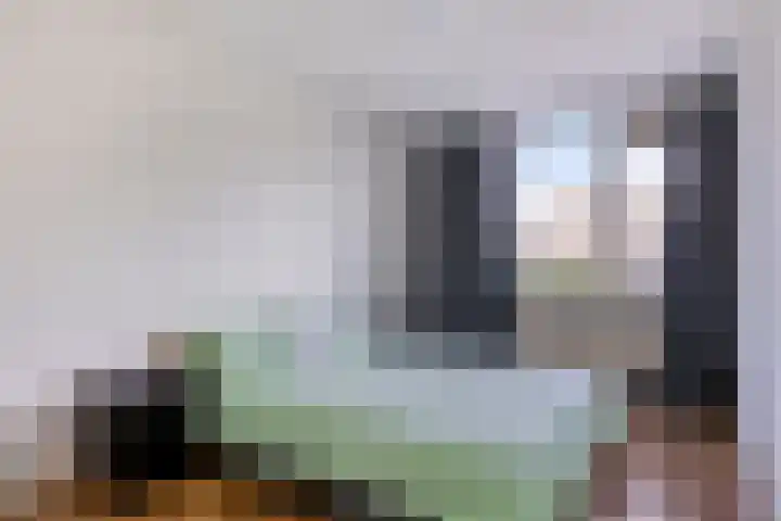Espelaar 3 Veghel thumbnail 16