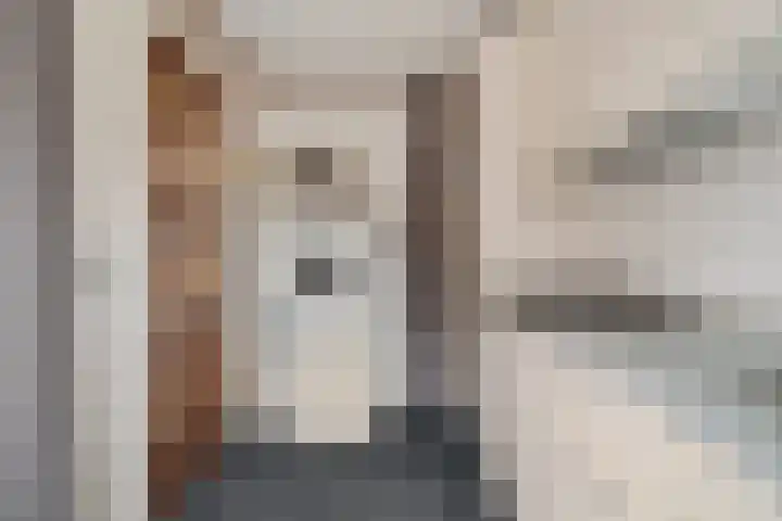 Espelaar 3 Veghel foto 3