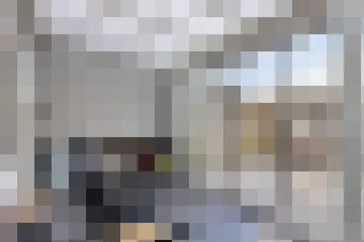 Espelaar 3 Veghel foto 3