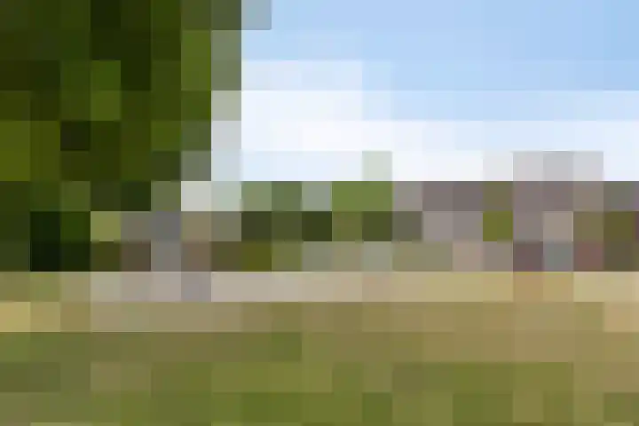 Espelaar 3 Veghel thumbnail 31