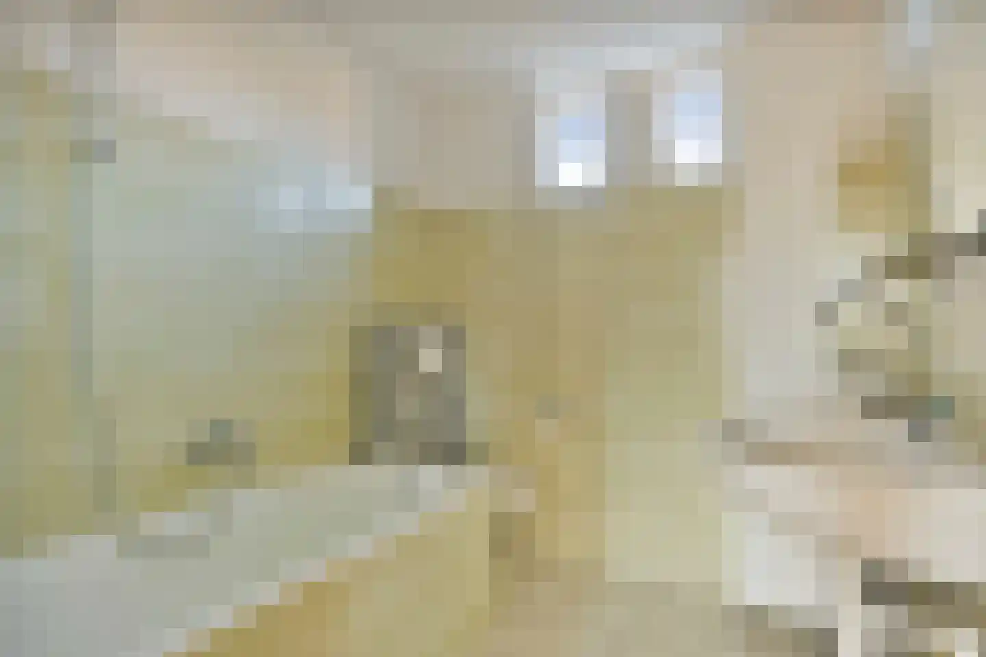 Espelaar 85 Veghel thumbnail 15