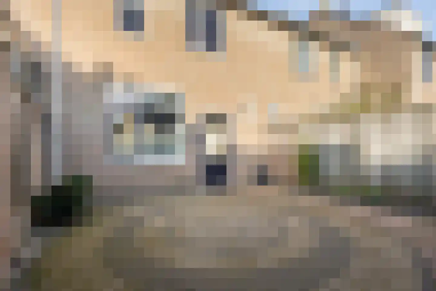 Espelaar 85 Veghel thumbnail 23