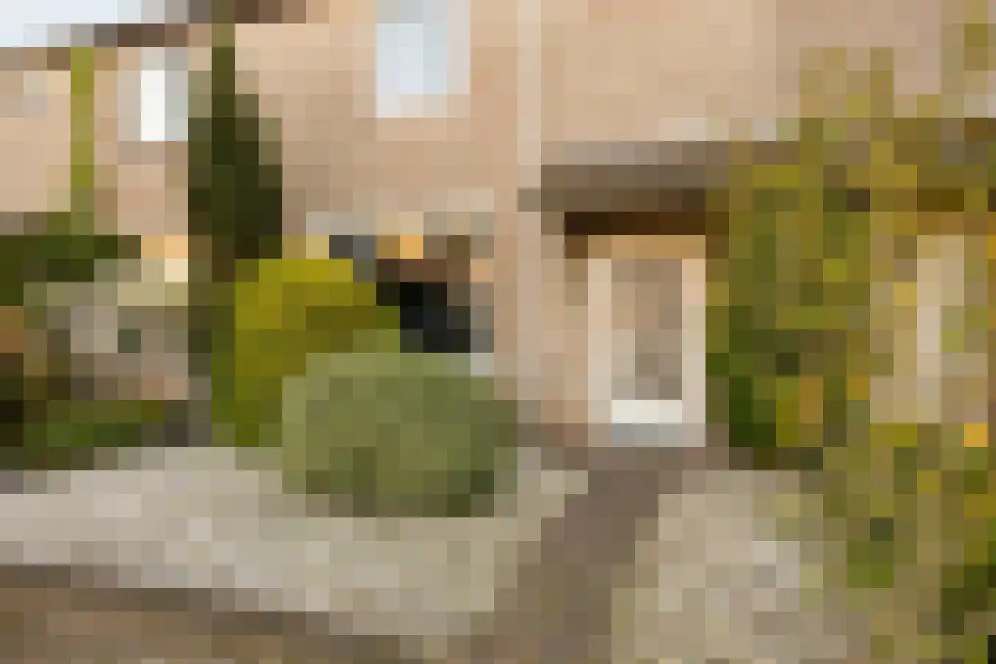 Espelaar 85 Veghel thumbnail 4