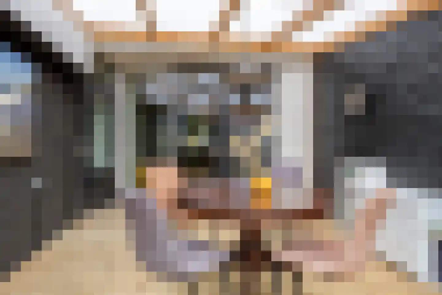 Espelerlaan 52 Emmeloord thumbnail 13