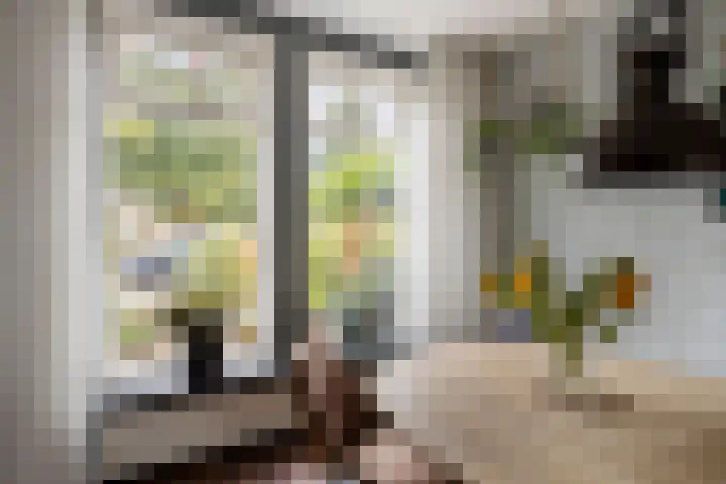 Espelerlaan 52 Emmeloord thumbnail 7