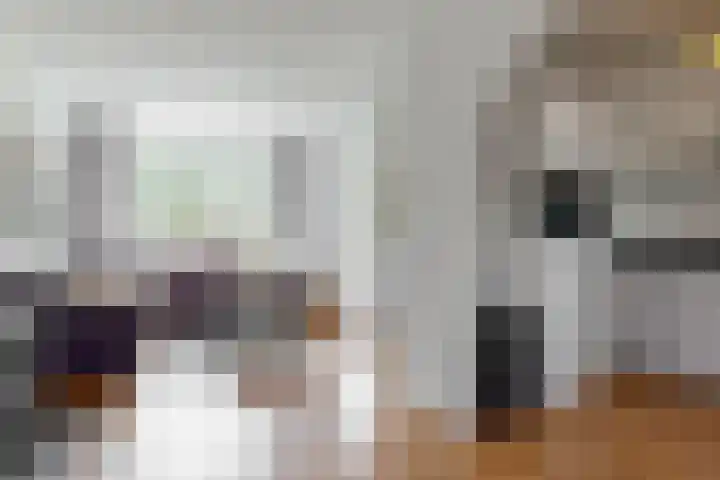 Espelerlaan 58 Emmeloord thumbnail 10