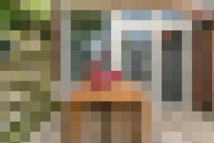 Espelerlaan 58 Emmeloord thumbnail 29
