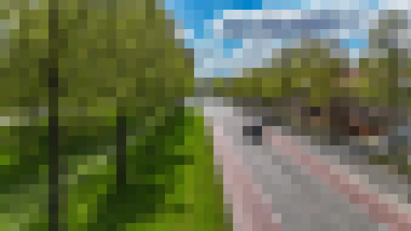 Espelerlaan 63 Emmeloord thumbnail 50
