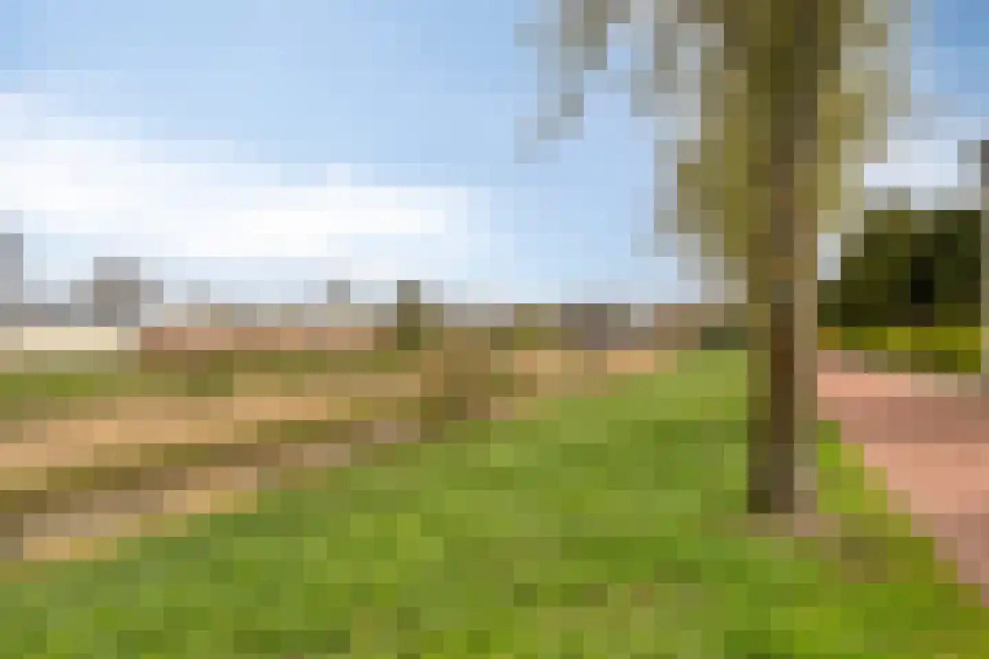 Espenberg 94 Roosendaal thumbnail 39