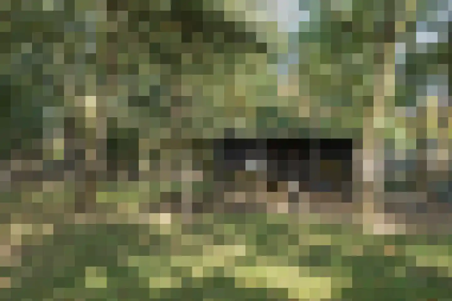 Espenhof 13 Rosmalen thumbnail 28