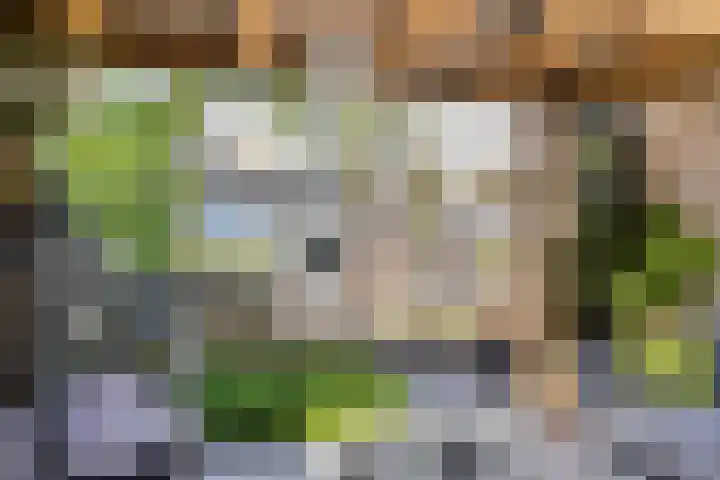 Espenhof 17 Rosmalen thumbnail 24