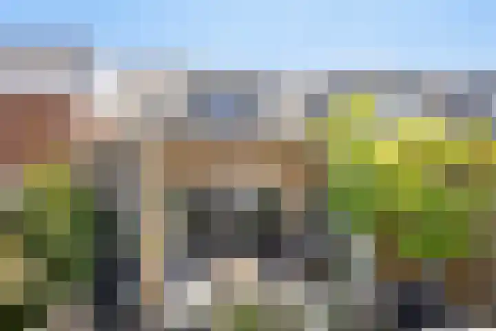 Espenhof 17 Rosmalen thumbnail 27