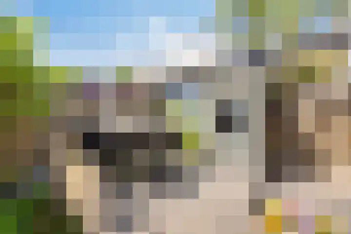 Espenhof 17 Rosmalen thumbnail 30