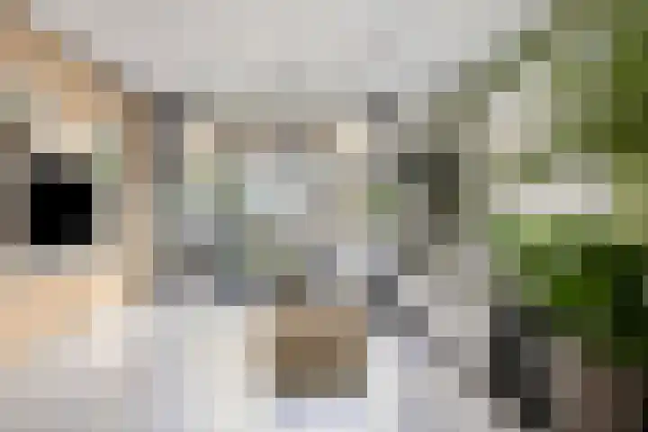 Espenhof 17 Rosmalen thumbnail 5