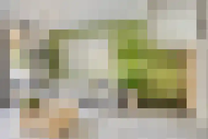 Espenhof 17 Rosmalen thumbnail 6