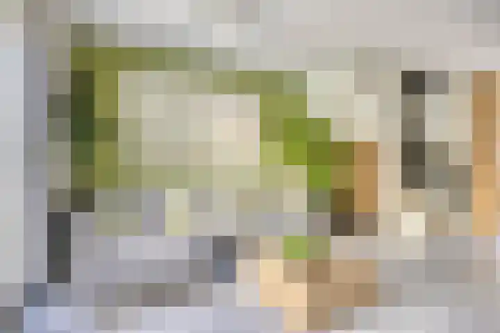 Espenhof 17 Rosmalen thumbnail 7