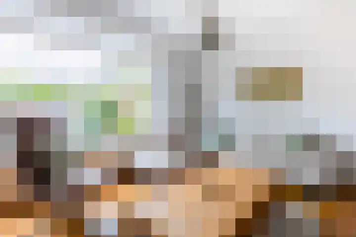 Espenhof 3 Bergen op Zoom thumbnail 13