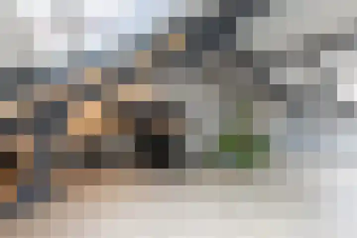 Espenhof 3 Bergen op Zoom thumbnail 26
