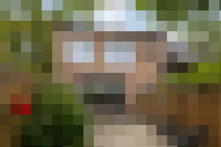 Espenhof 3 Bergen op Zoom thumbnail 31