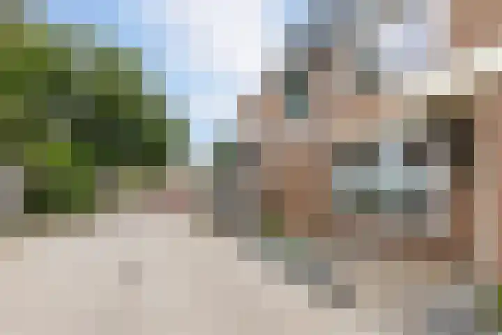 Espenhof 3 Bergen op Zoom thumbnail 34