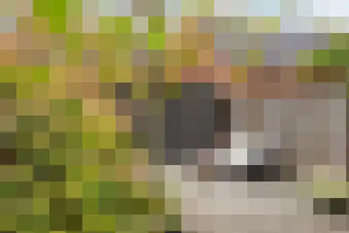 Espenhof 3 Rosmalen thumbnail 19
